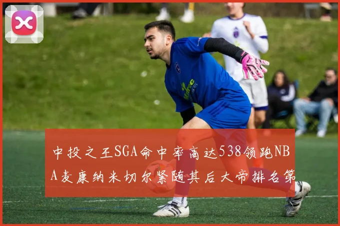 中投之王SGA命中率高达538领跑NBA麦康纳米切尔紧随其后大帝排名第七