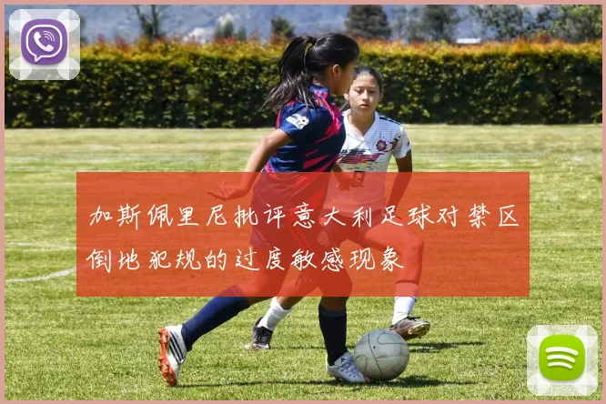 加斯佩里尼批评意大利足球对禁区倒地犯规的过度敏感现象