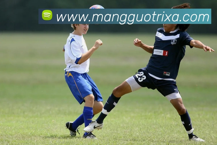 芒果体育品牌故事